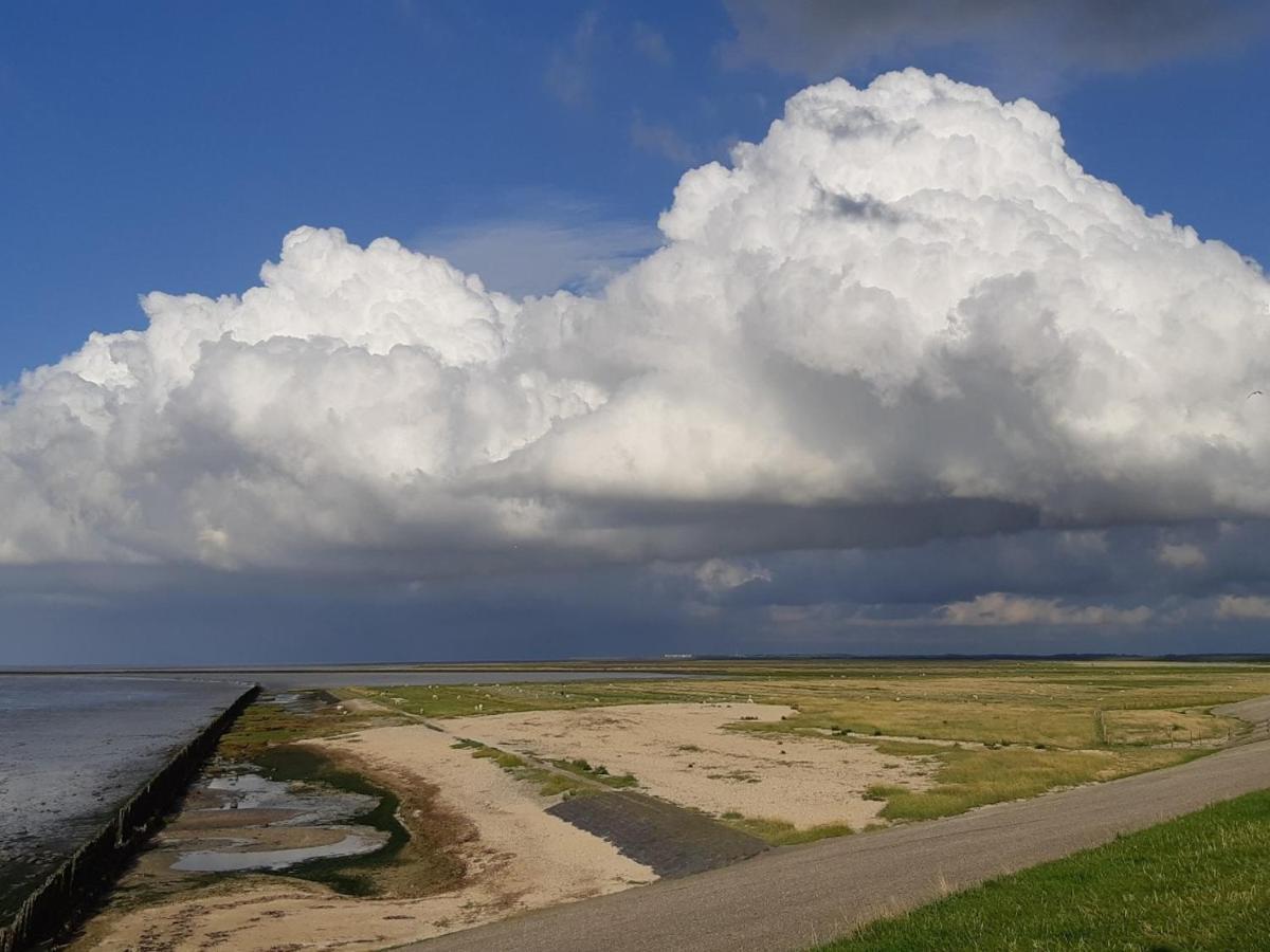 فيلا Waddenfestijn Paesens المظهر الخارجي الصورة