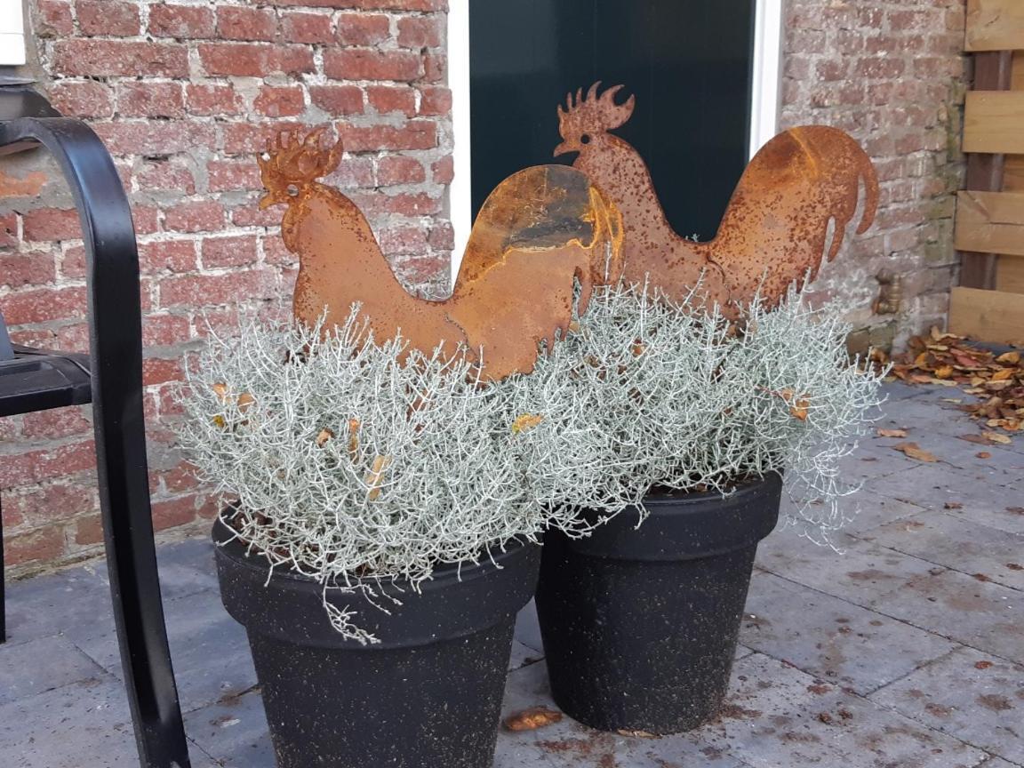 فيلا Waddenfestijn Paesens المظهر الخارجي الصورة